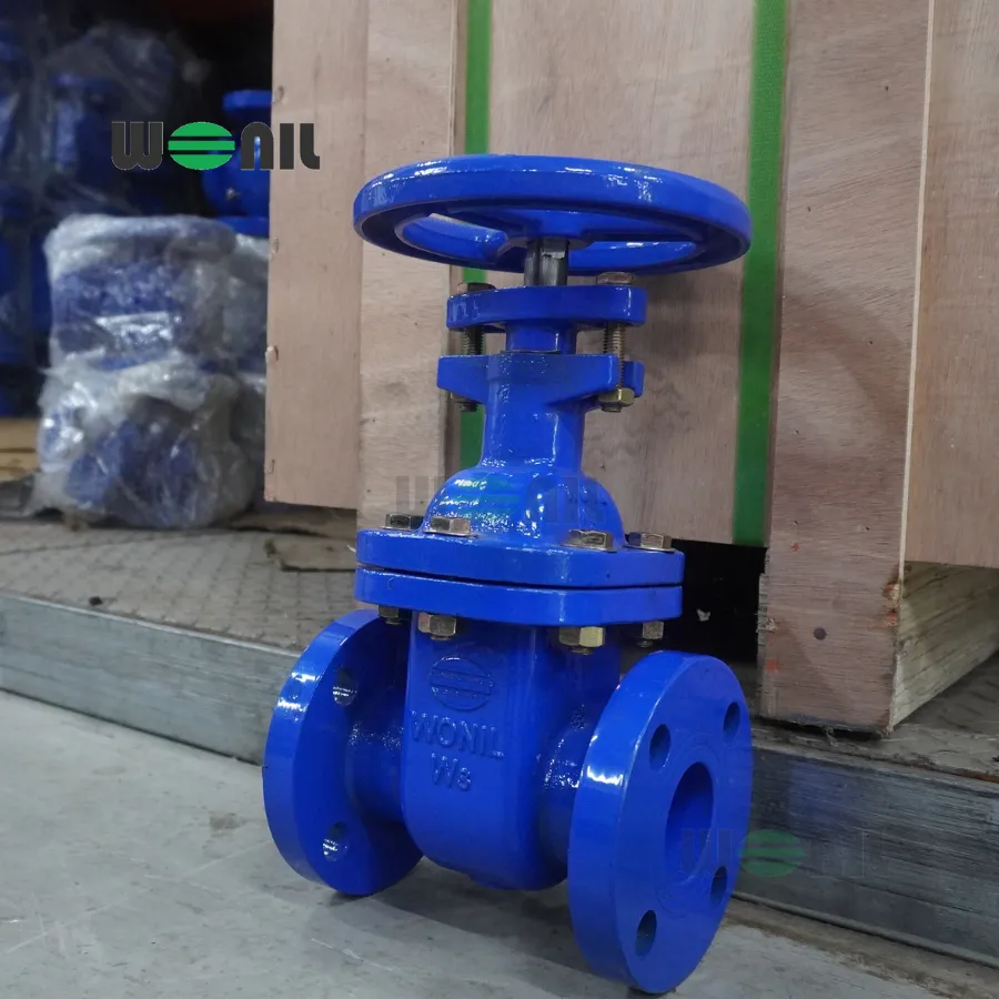van cổng Wonil ty chìm tay quay gang DN40