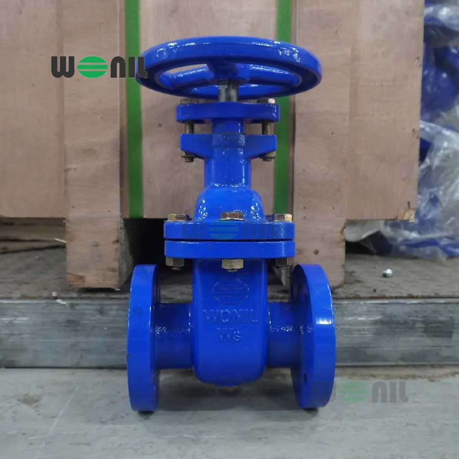 van cổng Wonil ty chìm tay quay gang DN40