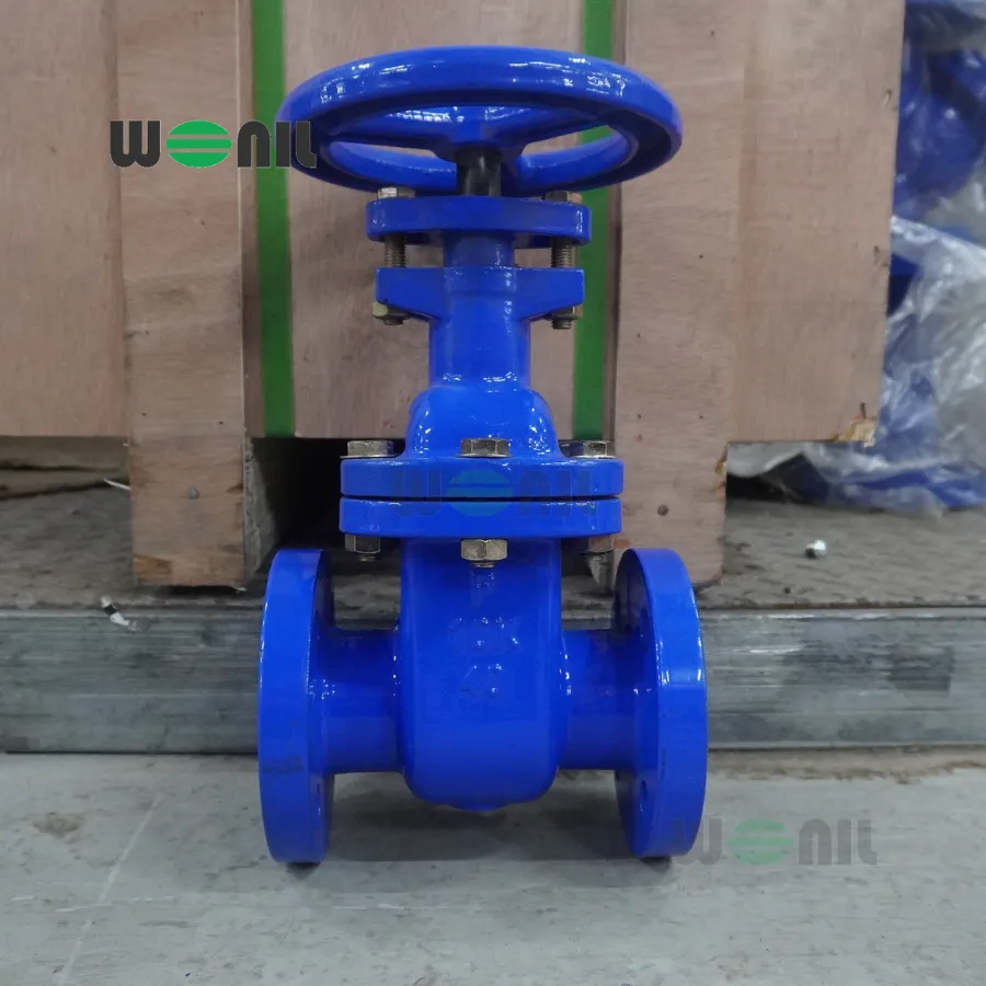 van cổng Wonil ty chìm tay quay gang DN40