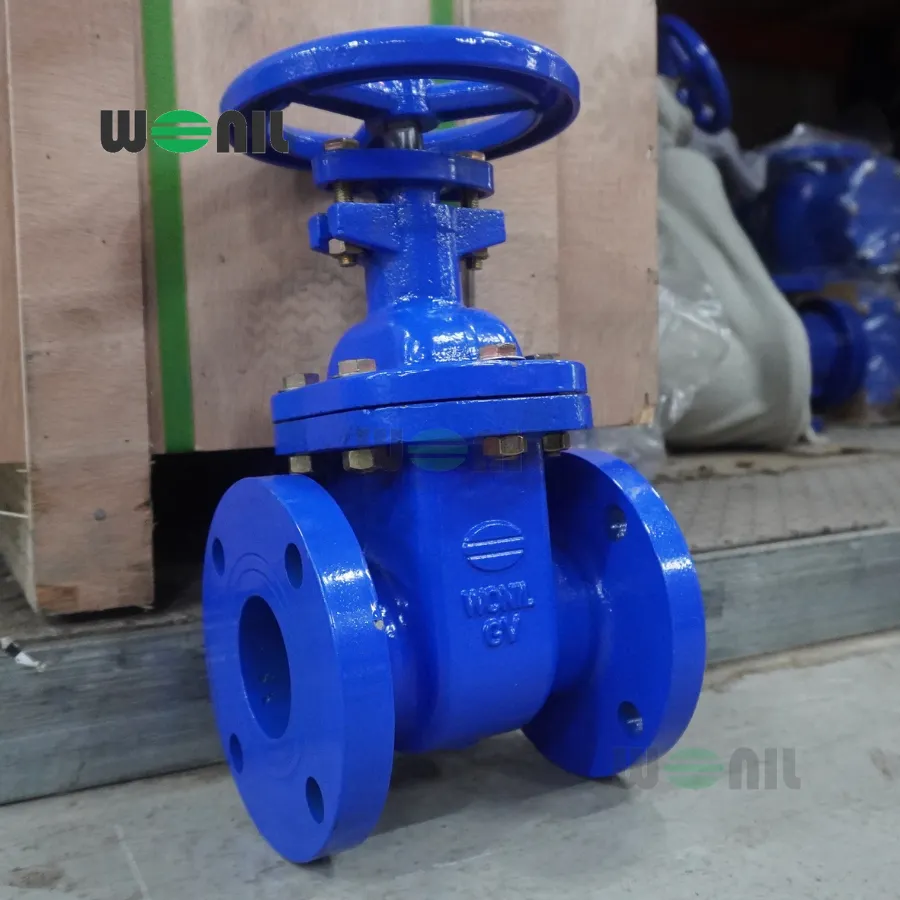 Van Cổng Wonil Ty chìm Tay Quay Gang DN65
