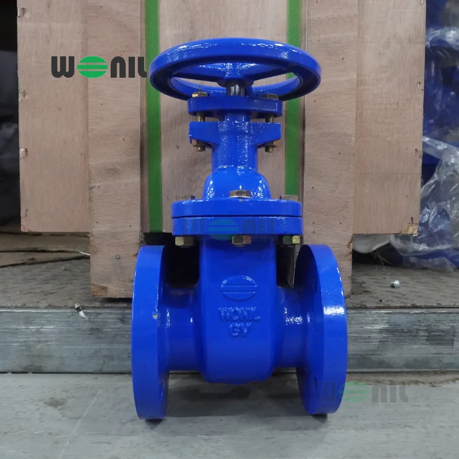 Van Cổng Wonil Ty chìm Tay Quay Gang DN65