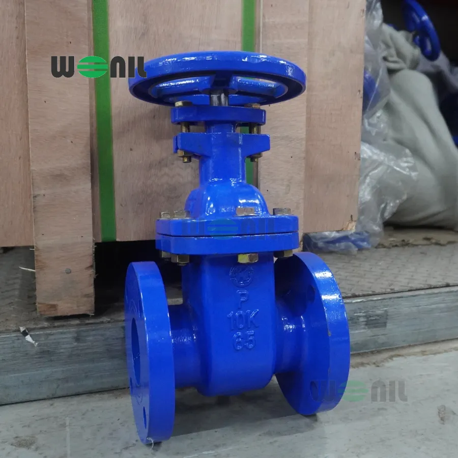 Van Cổng Wonil Ty chìm Tay Quay Gang DN65