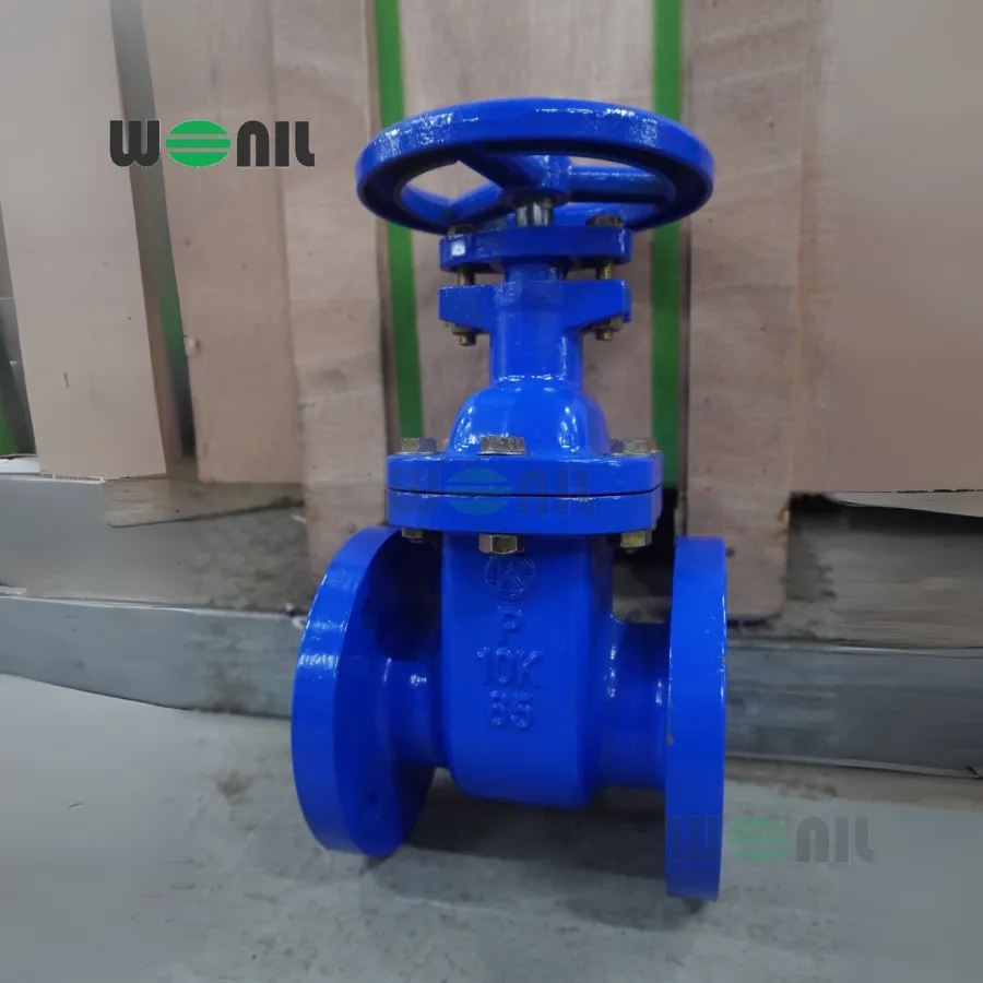 Van Cổng Wonil Ty chìm Tay Quay Gang DN65
