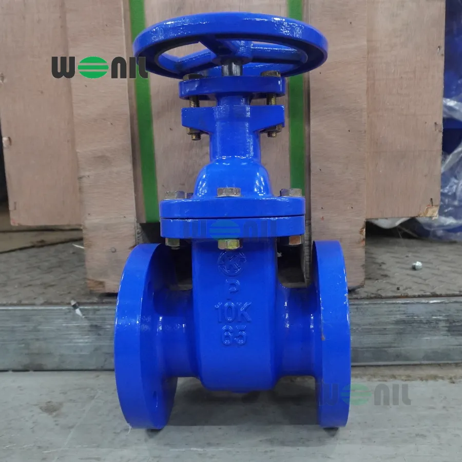 Van Cổng Wonil Ty chìm Tay Quay Gang DN65