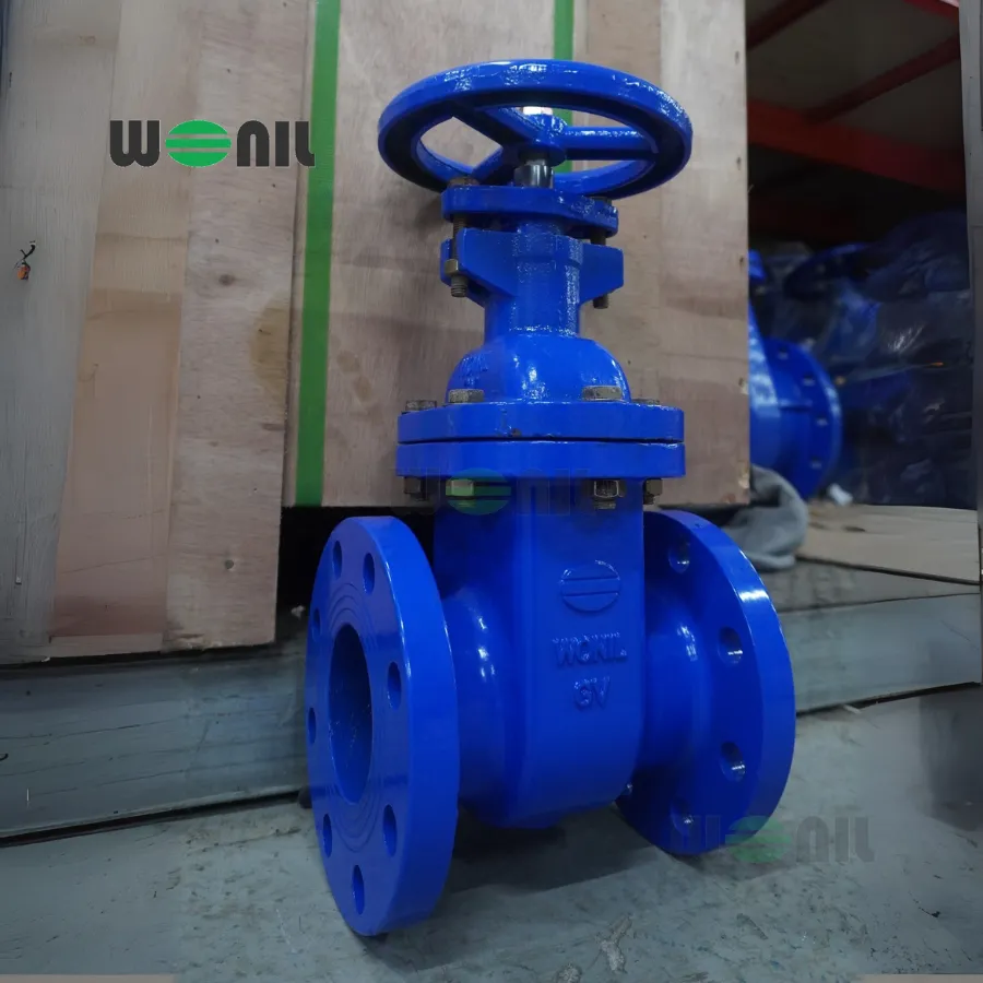 Van cổng Wonil ty chìm tay quay gang DN80