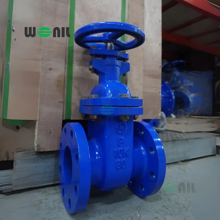 Van cổng Wonil ty chìm tay quay gang DN80