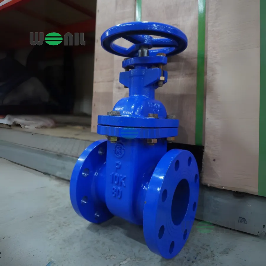 Van cổng Wonil ty chìm tay quay gang DN80