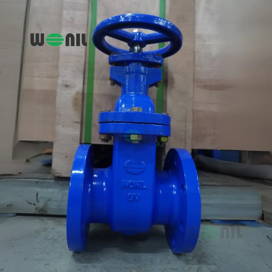 Van cổng Wonil ty chìm tay quay gang DN80