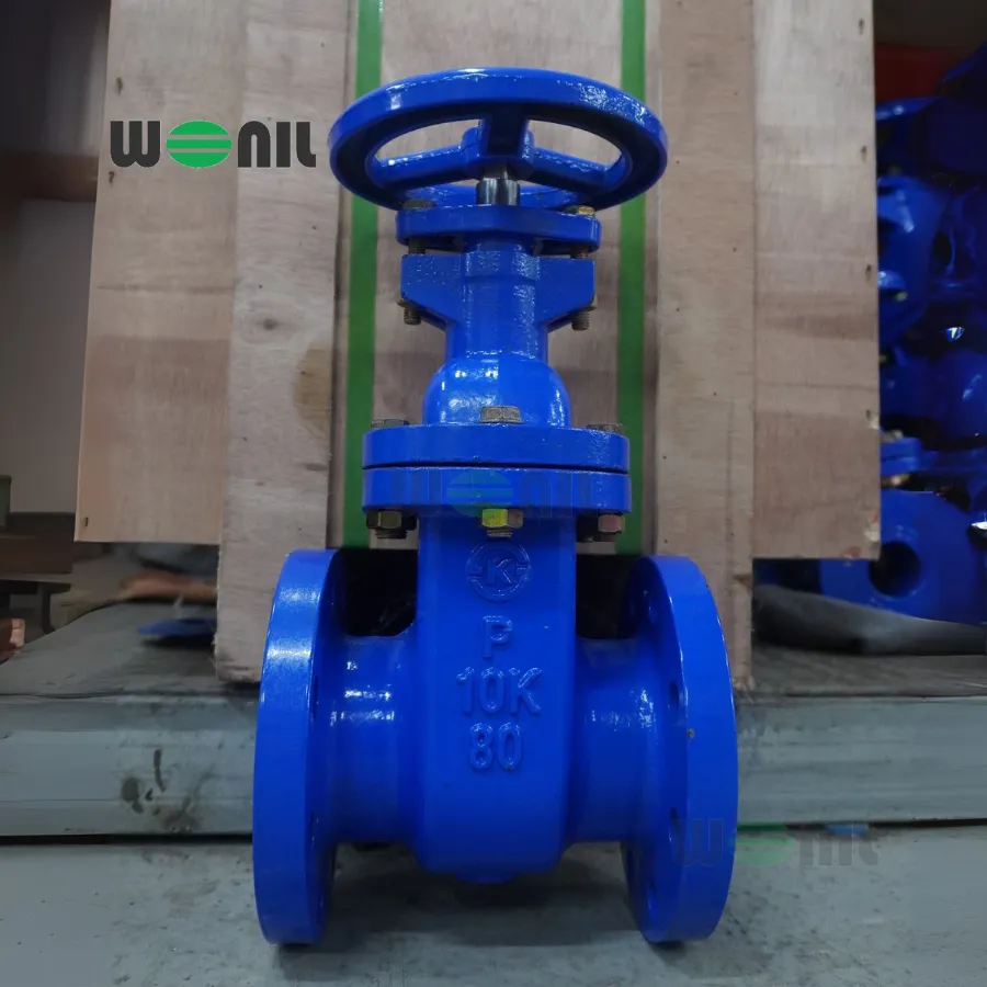 Van cổng Wonil ty chìm tay quay gang DN80
