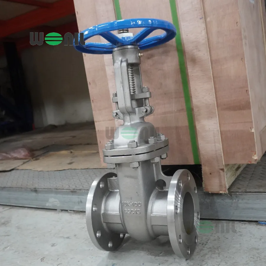 Van Cổng Wonil Ty Nổi Tay Quay Inox DN100