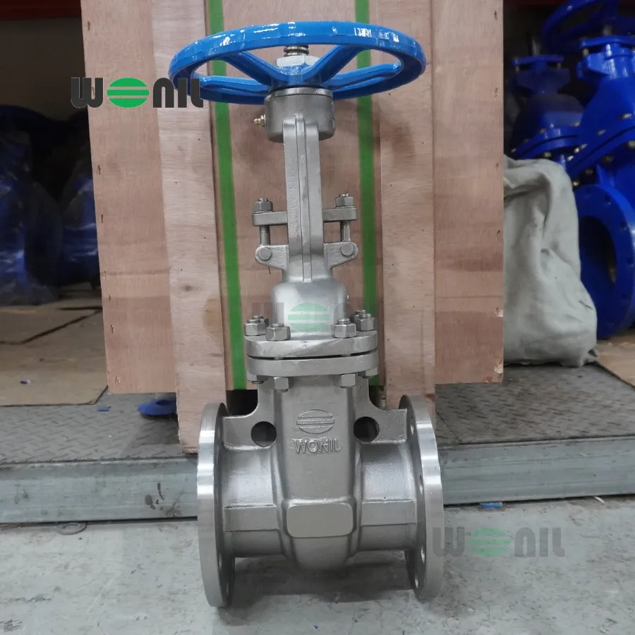 Van Cổng Wonil Ty Nổi Tay Quay Inox DN100