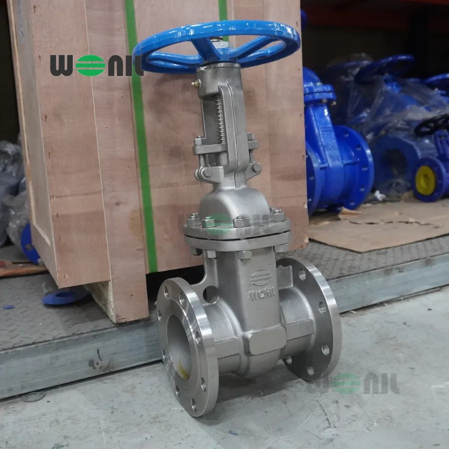Van Cổng Wonil Ty Nổi Tay Quay Inox DN100