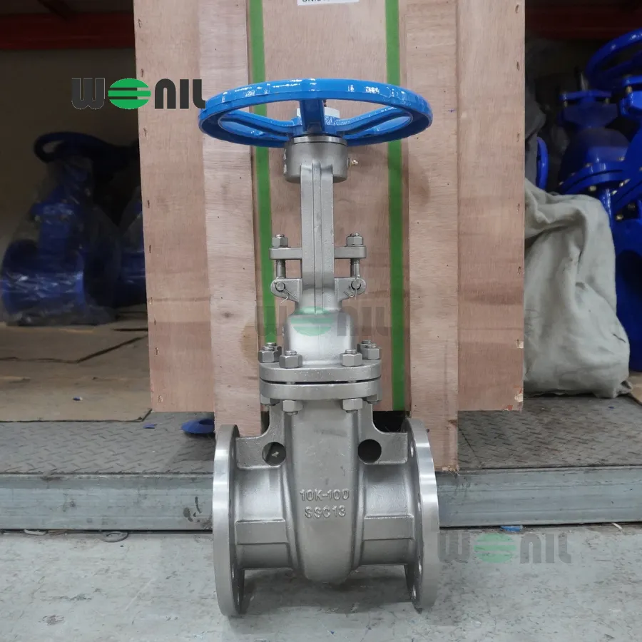Van Cổng Wonil Ty Nổi Tay Quay Inox DN100