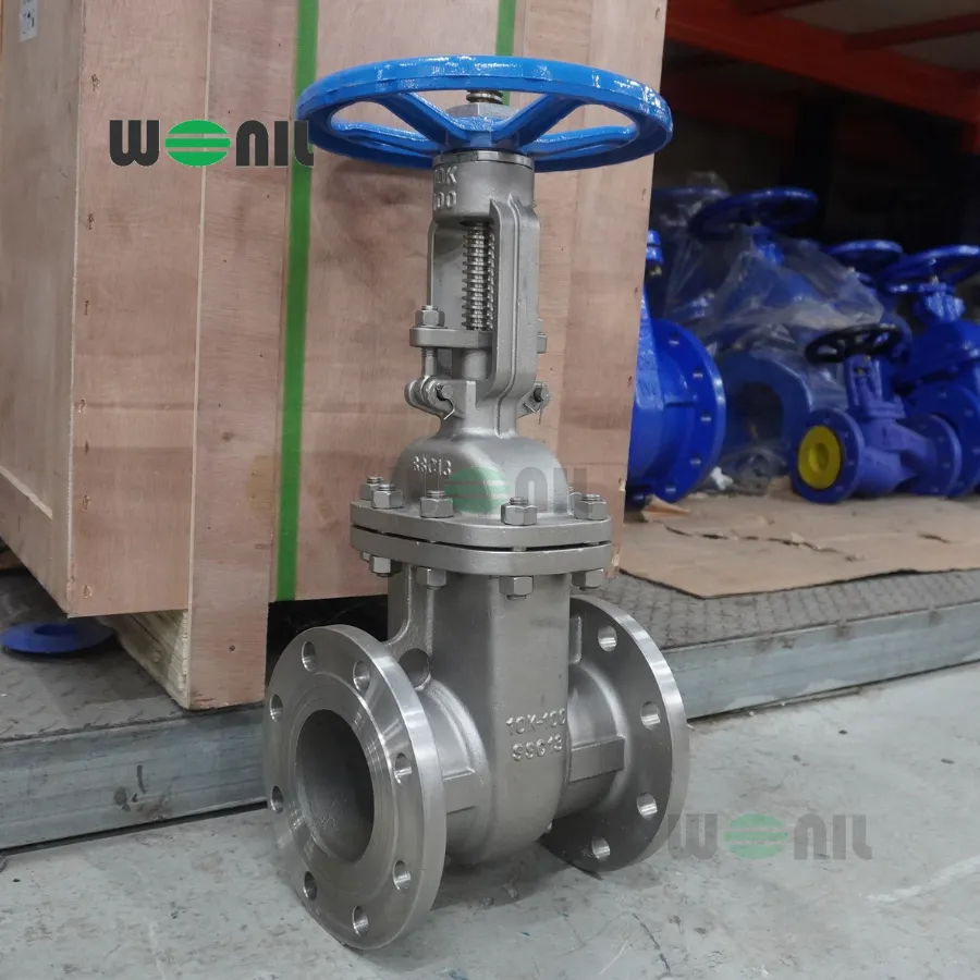 Van Cổng Wonil Ty Nổi Tay Quay Inox DN100