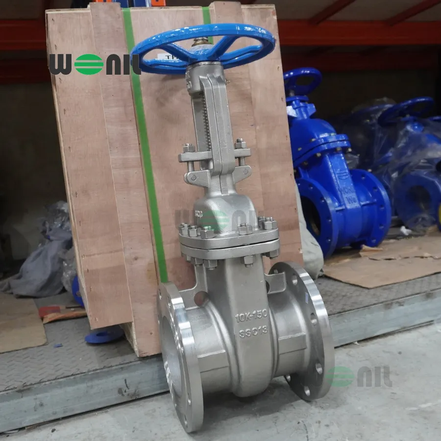 Van Cổng Wonil Ty Nổi Tay Quay Inox DN150
