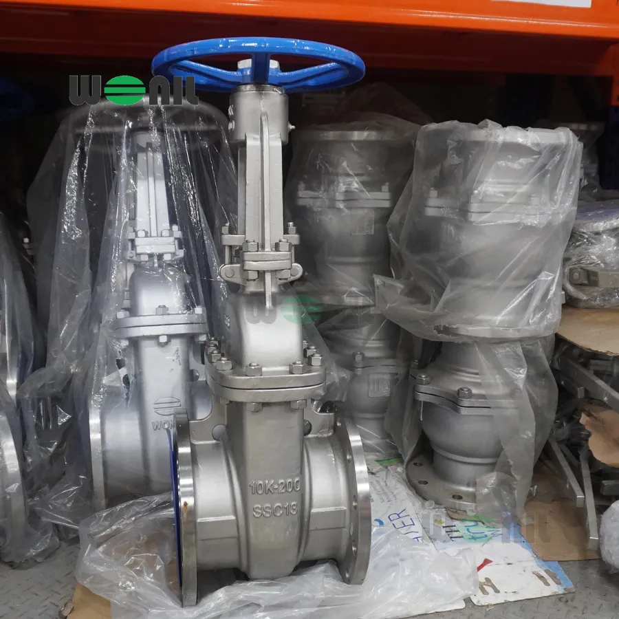 Van Cổng Wonil Ty Nổi Tay Quay Inox DN200