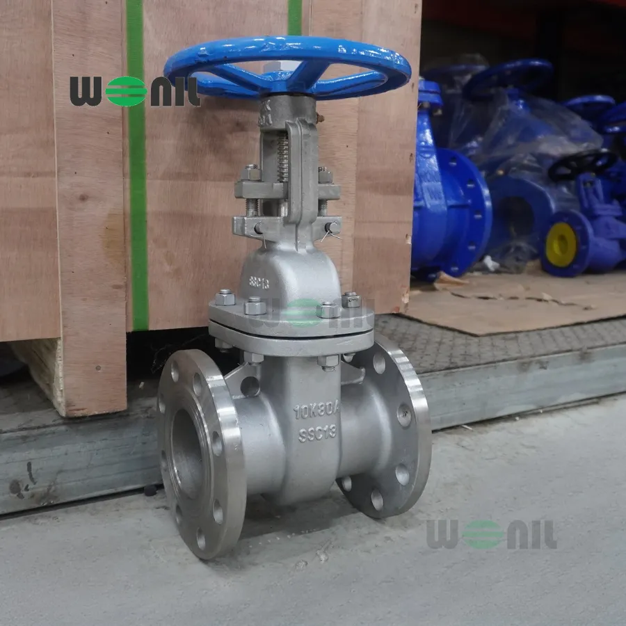 Van Cổng Wonil Ty Nổi Tay Quay Inox DN80