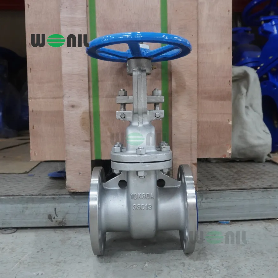 Van Cổng Wonil Ty Nổi Tay Quay Inox DN80