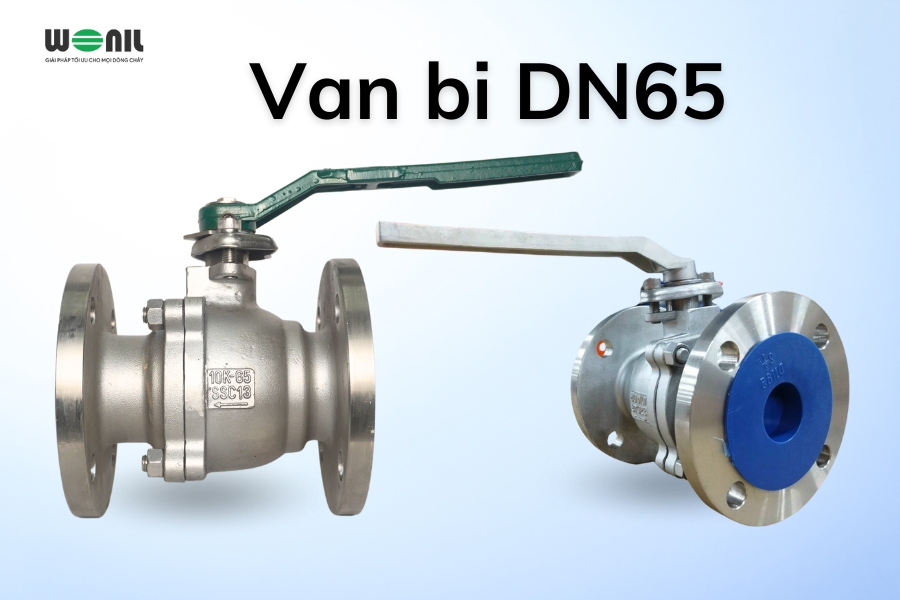 Van bi DN65