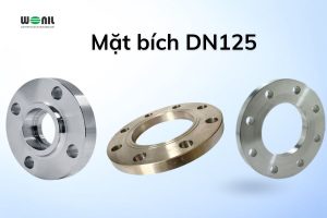 Mặt bích DN125