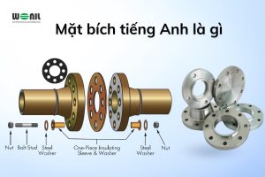 Mặt bích tiếng anh là gì?