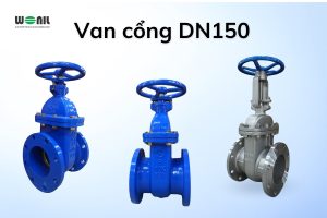 Van cổng DN150