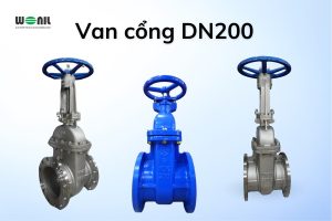 Van cổng DN200