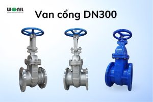 Van cổng DN300