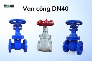 Mẫu các loại van cổng DN40