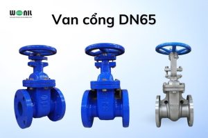 Van cổng DN65