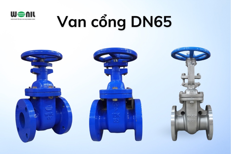 Van cổng DN65