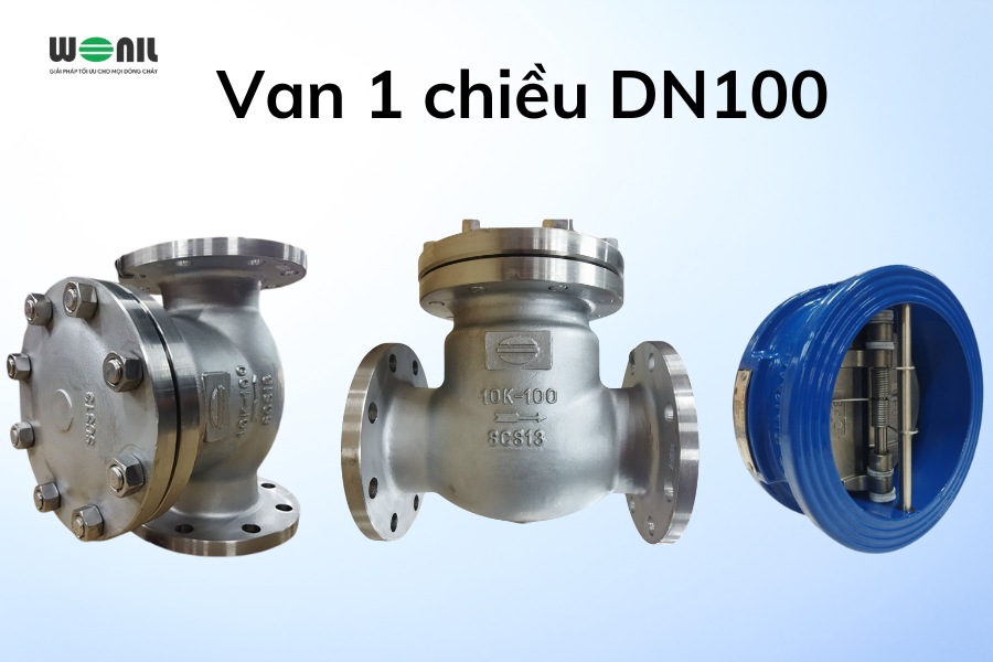 Van 1 chiều DN100