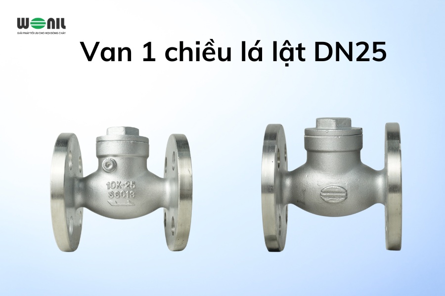 Van 1 chiều lá lật DN25