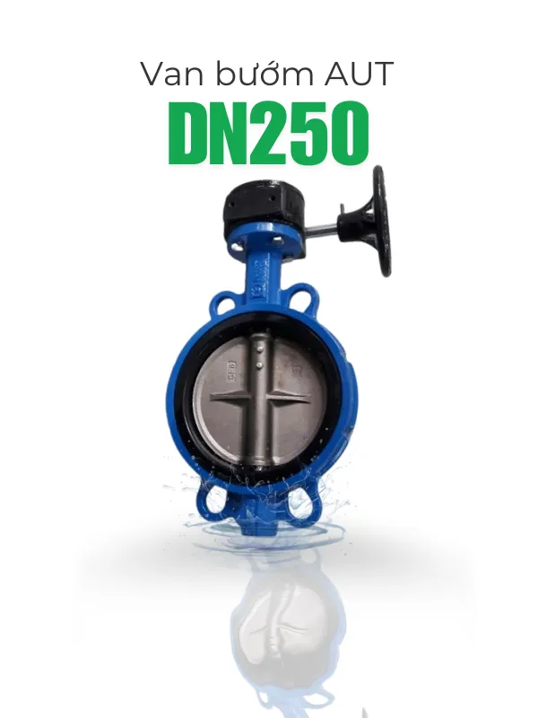 Van bướm AUT DN250