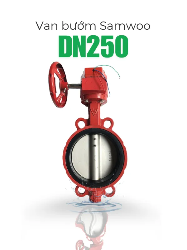 Van bướm Samwoo DN250