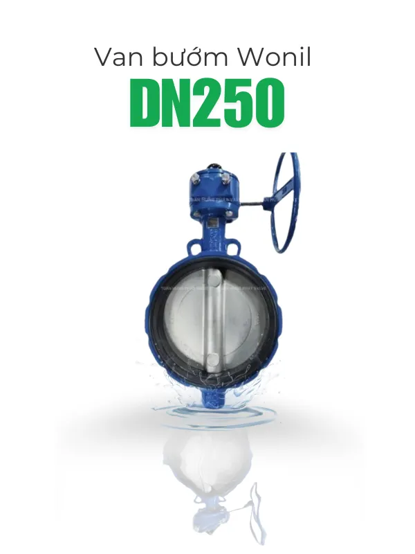 Van bướm DN250 Wonil