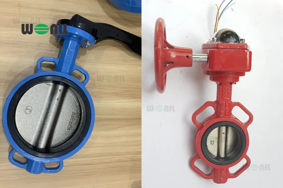 Van bướm ARV hình ảnh thực tế