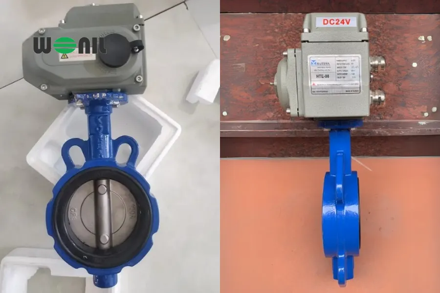 Van bướm ganh cánh inox điện Haitima