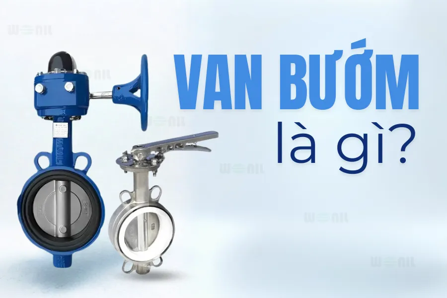 Van bướm là gì