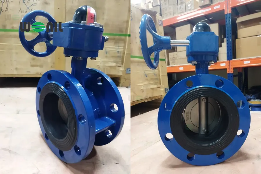Van bướm lắp bích