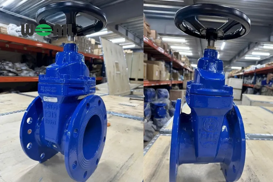 Van cổng DN50 FAF