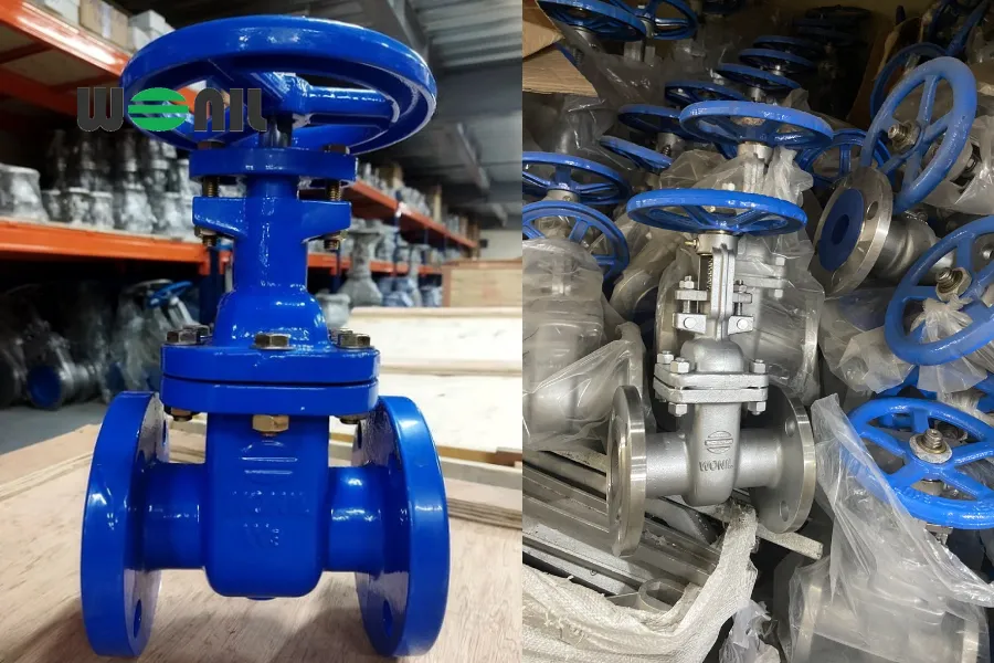 Van cổng DN50 Wonil