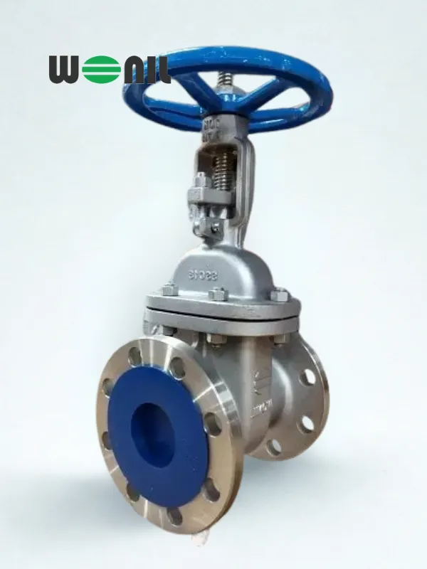 Van cổng ty nổi Hàn Quốc