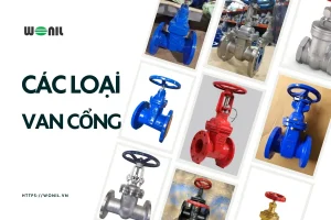 Phân loại chi tiết các loại van cổng