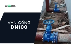 Van cổng DN100 chất lượng