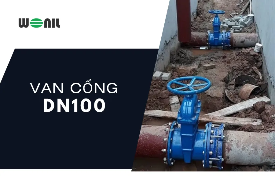 Van cổng DN100 chất lượng