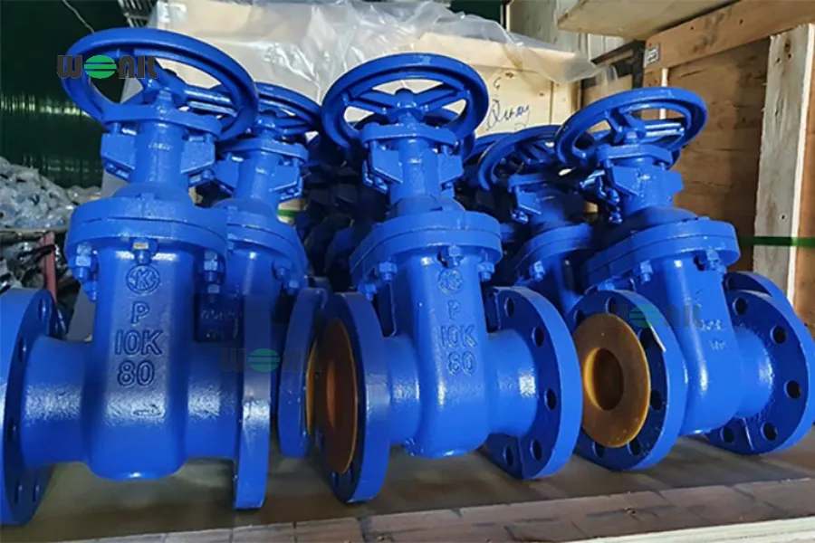 Van cổng DN80 gang