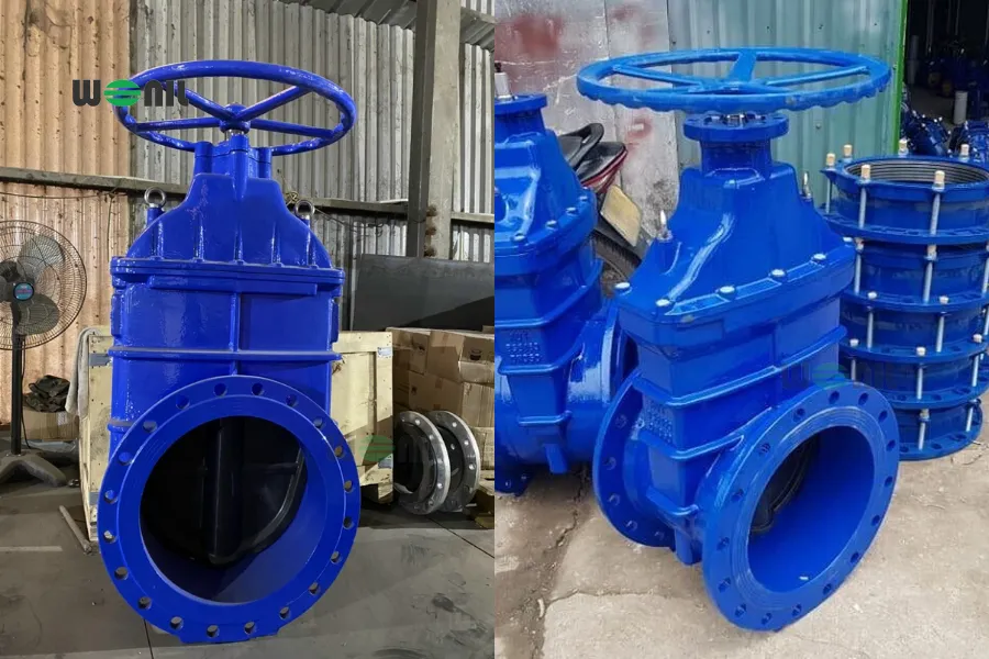Hình ảnh thực Van cổng lắp bích