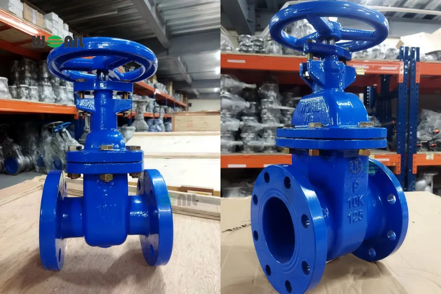 Hình ảnh thực tế Van cổng ty chìm