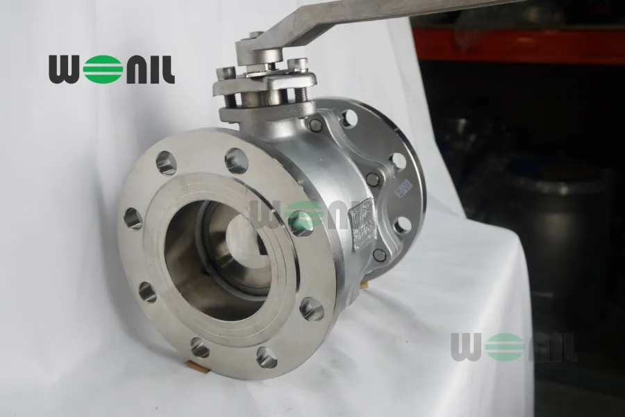 Van bi DN100 inox